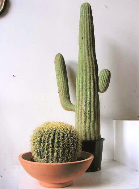 CACTUS, 1m High - Green